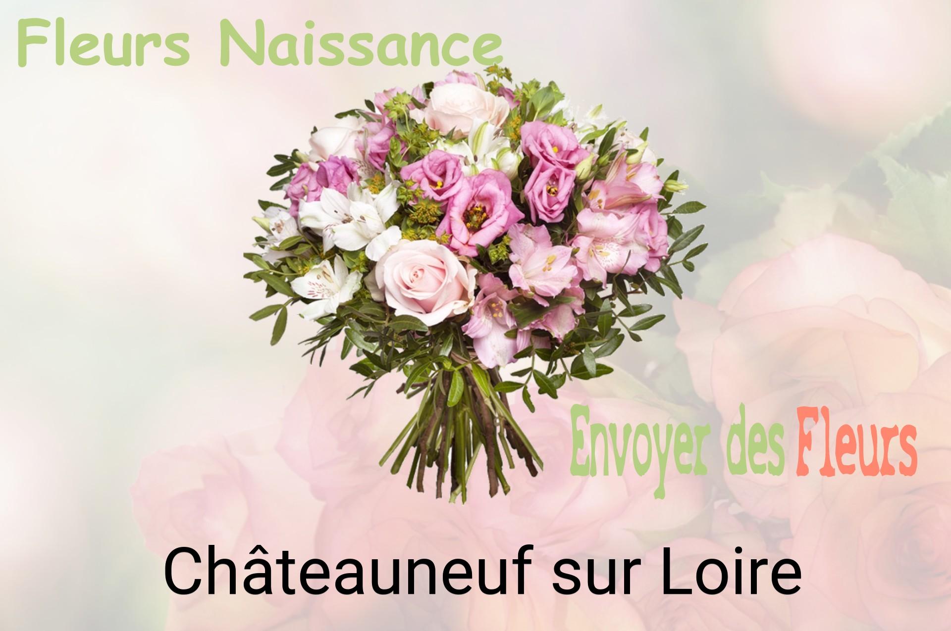 Bouquet de fleurs de naissance livré à Châteauneuf-sur-Loire