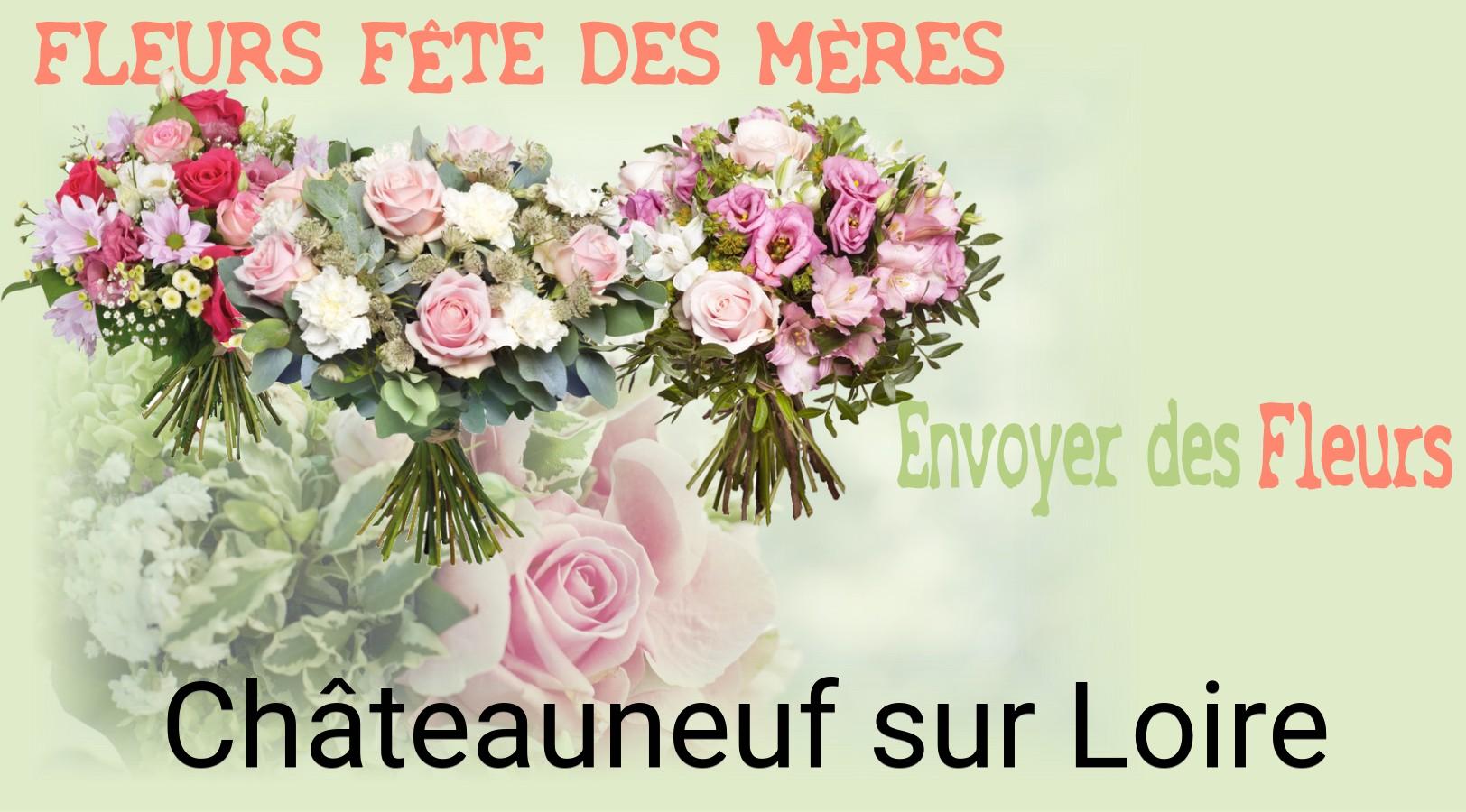 Bouquet de Fête des Mères livré à Châteauneuf-sur-Loire