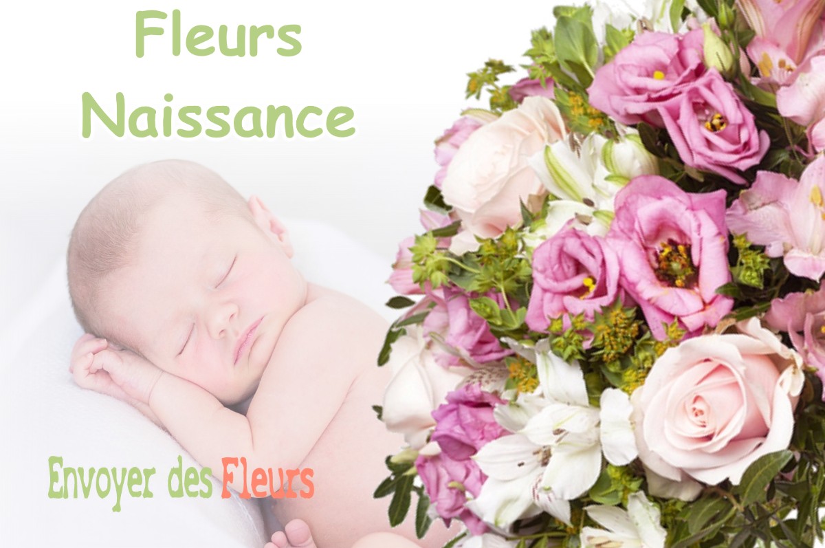 lIVRAISON FLEURS NAISSANCE à CHATEAUNEUF-SUR-LOIRE